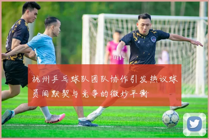 杭州乒乓球队团队协作引发热议球员间默契与竞争的微妙平衡