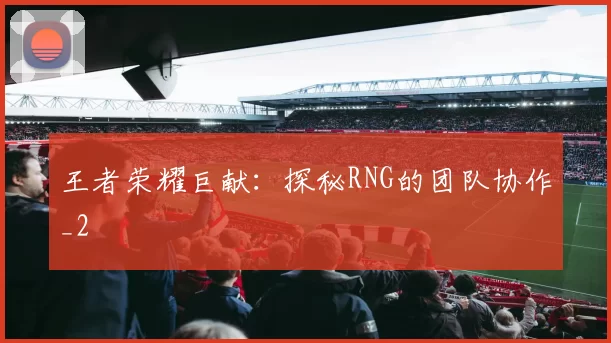王者荣耀巨献：探秘RNG的团队协作_2