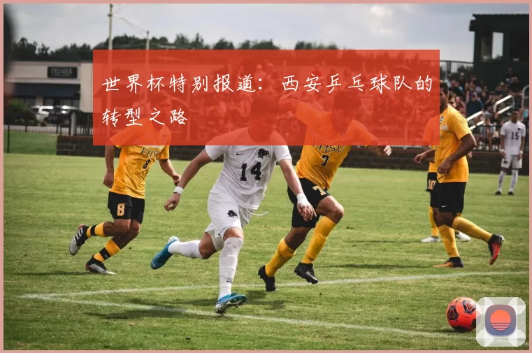 世界杯特别报道：西安乒乓球队的转型之路