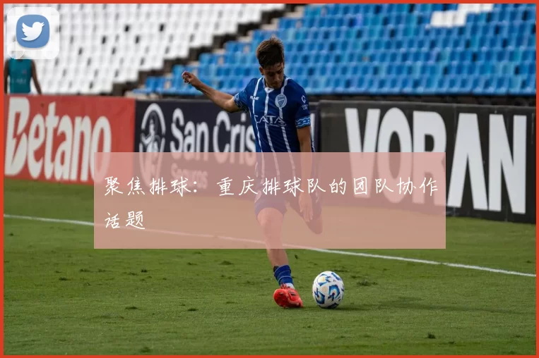 聚焦排球：重庆排球队的团队协作话题