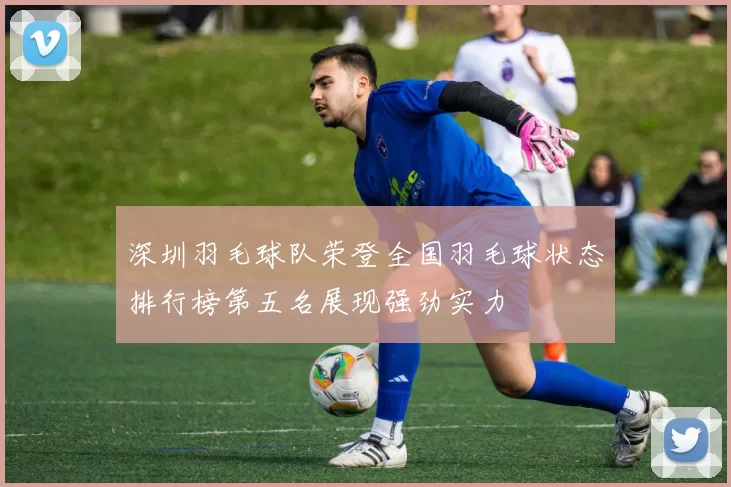 深圳羽毛球队荣登全国羽毛球状态排行榜第五名展现强劲实力