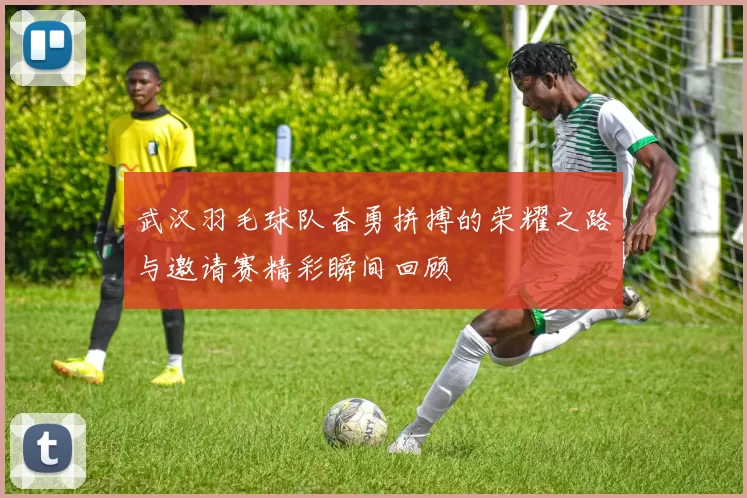 武汉羽毛球队奋勇拼搏的荣耀之路与邀请赛精彩瞬间回顾